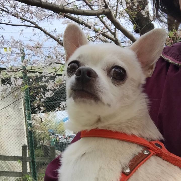 Cbdc6fb9 e419 4548 94db afb31dc6b1ce 1522570755019