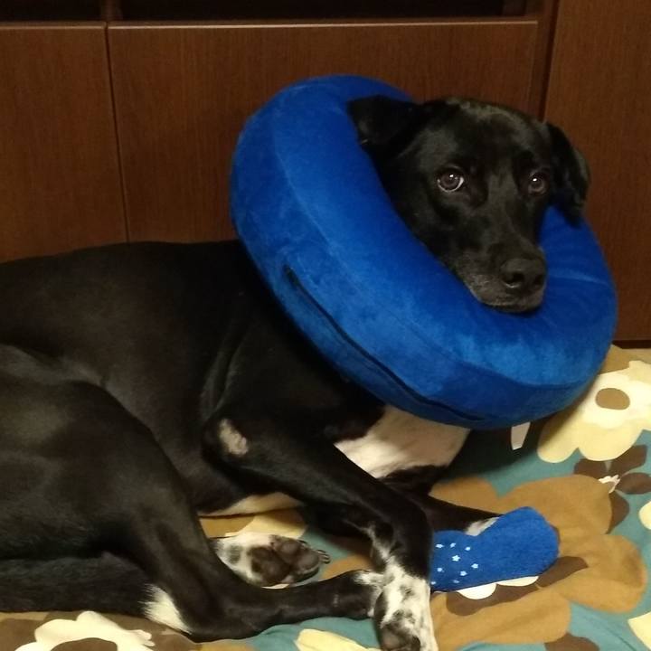 Cbdc77a4 c31e 468c 93d1 2a8752e6d15e 1624116370918