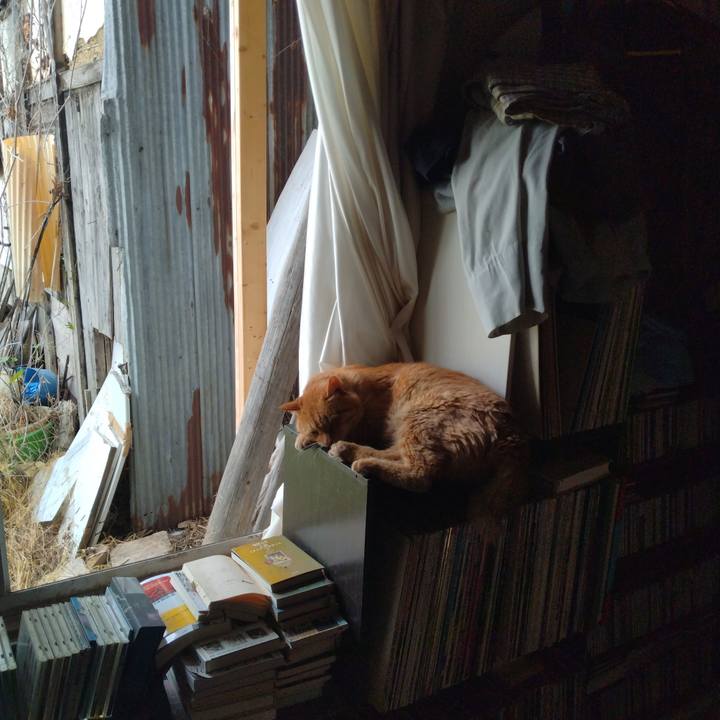 Cbdc7a3c 3d95 4cab 85bf 5b1100564888 1752136642222