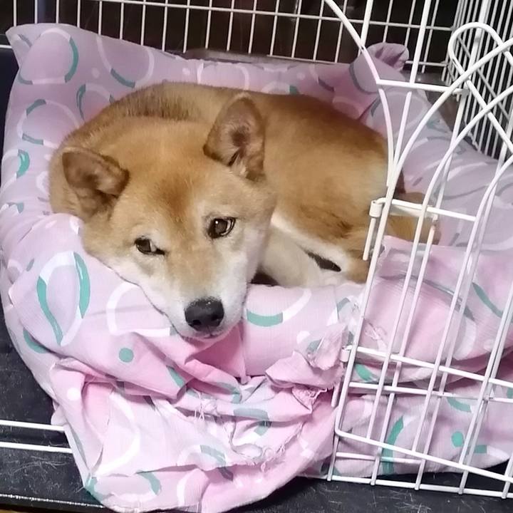 Cbdc7b49 f64f 4942 8ab8 d4f2b6b05563 1597148492939