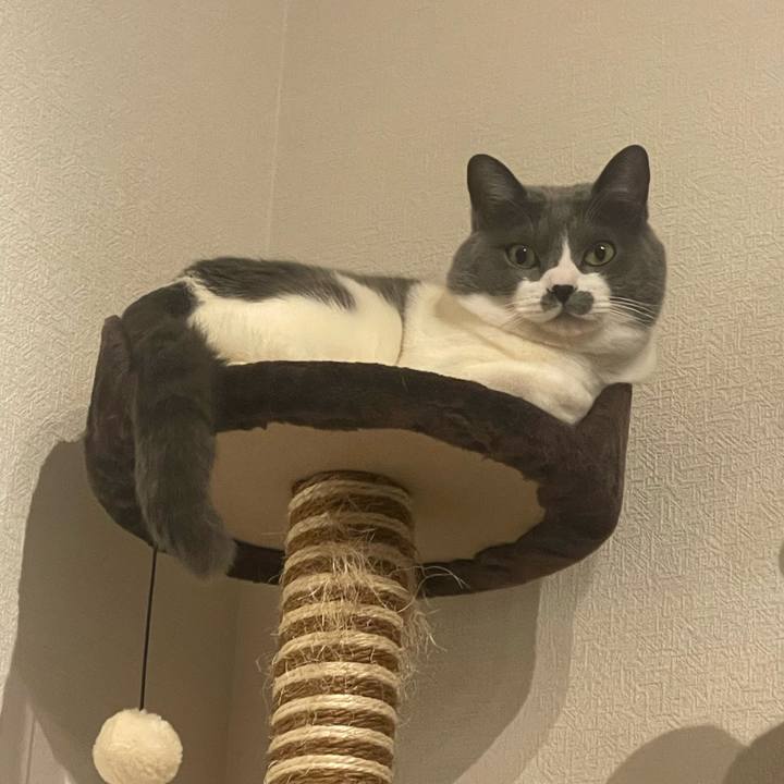 Cbdcb6e4 bfb4 458a ba17 da3f86057200 1706787322316