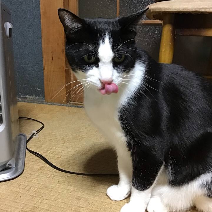 Cbdcd8c6 b05f 47c3 a0c3 bd1e85d0292e 1742300274967