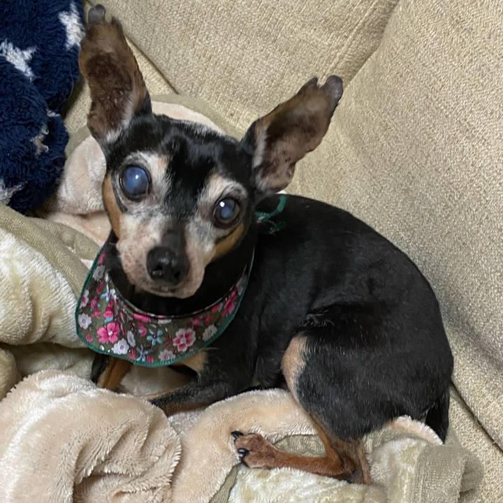 Cbdd21b9 56c4 4c63 a0ef cb9bef774a61 1579554726418