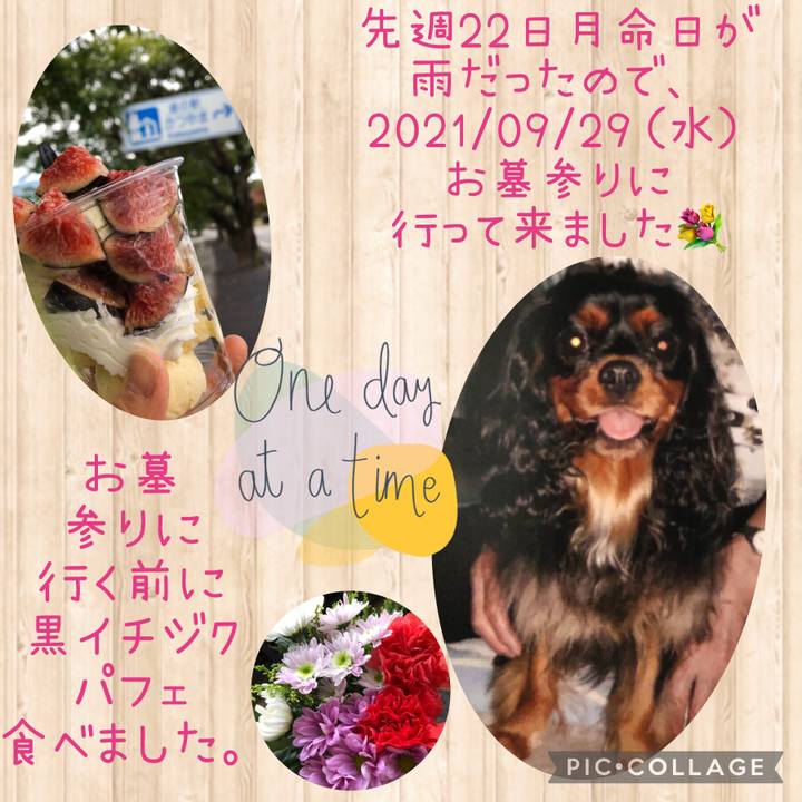 Cbdd690b 4779 46e5 9638 2f4657f0dc1a 1632902233383