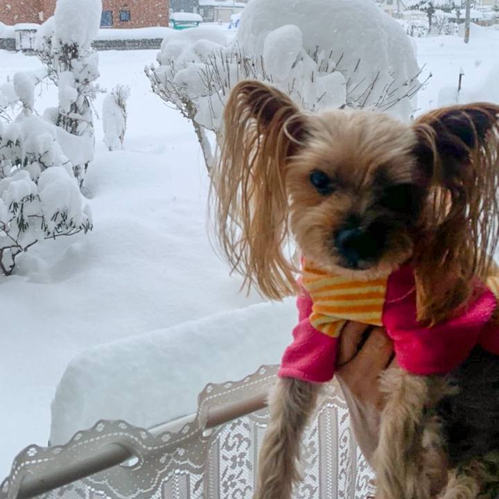 Cbdd9227 a1af 45e5 b65e ba33dca1f200 1606817944756