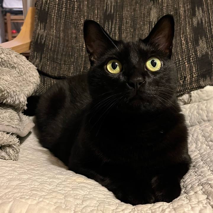 Cbddb570 91d3 405e a609 c69341fceed5 1751535857750