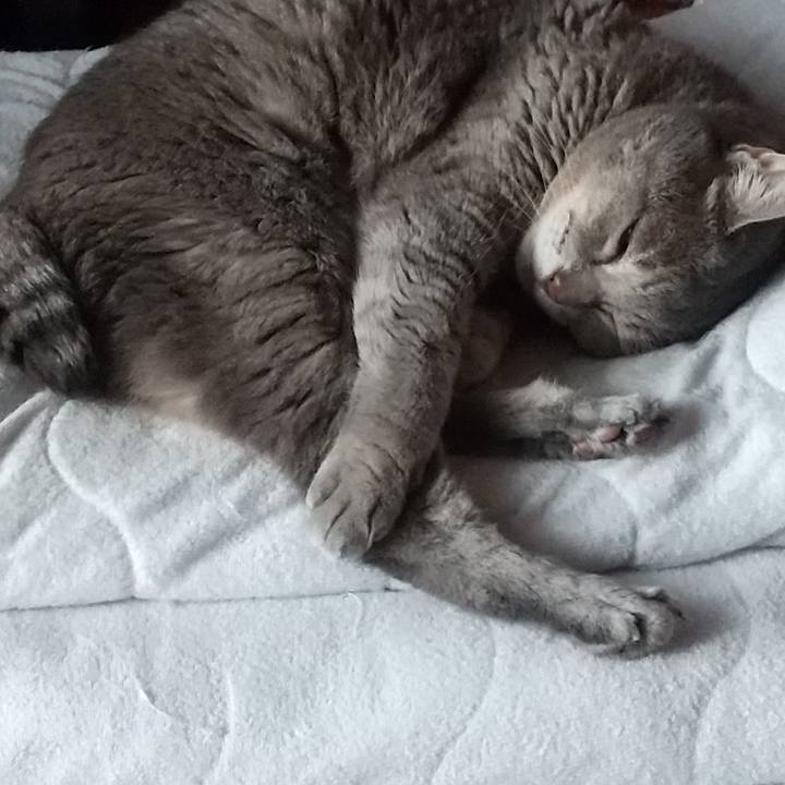 Cbde0b6d 1b3c 4e77 9cbe 0b46265a2c35 1663800509171