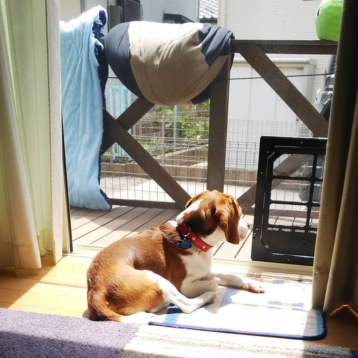 Cbde115d c3e3 46e8 8cfd 7db201e288db 1619318298857