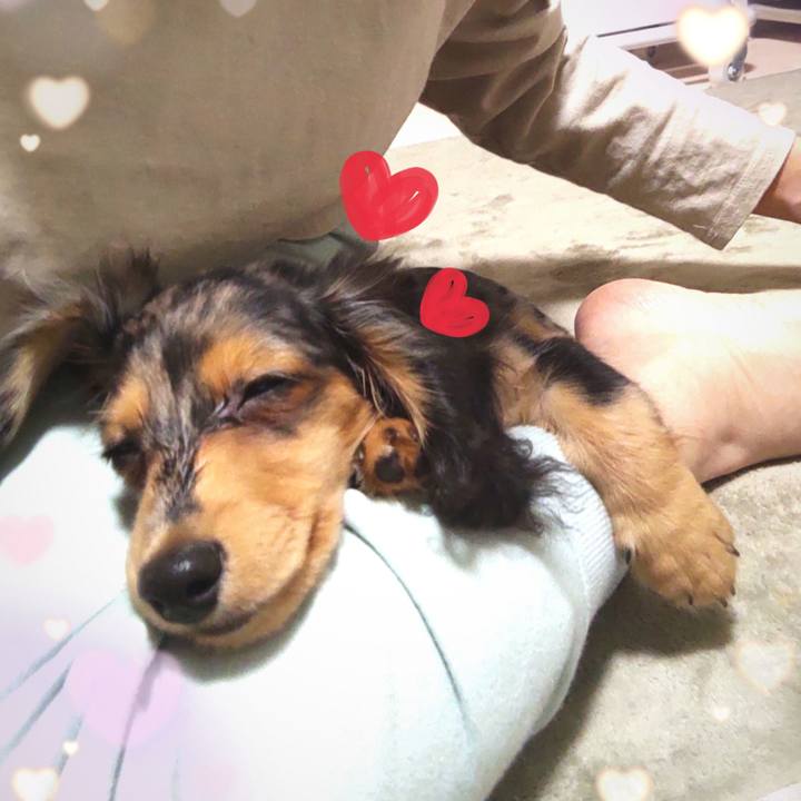 Cbde14ff 88c2 45e7 b5fb 95f77f96b423 1697283604236