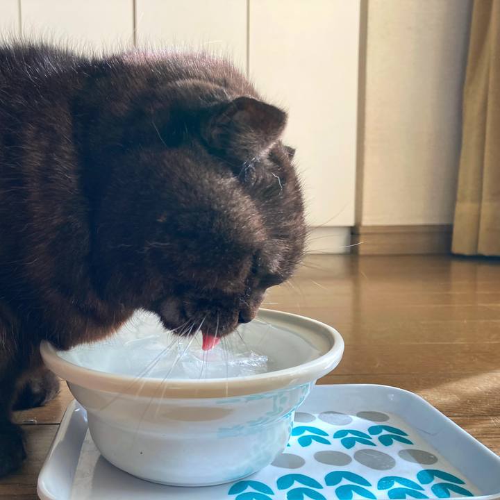 Cbde5c2c 6610 4742 ac7b 2fc747d0c263 1640703875664