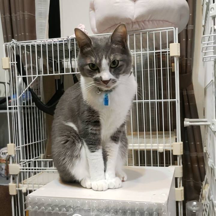 Cbde61b4 0d05 402b 9ce1 501846244177 1704707595674