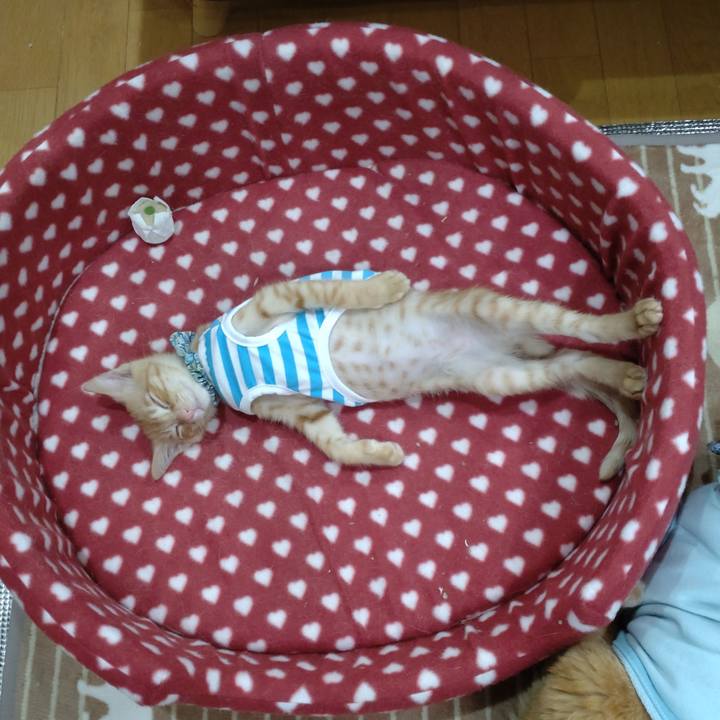 Cbdea8b3 6314 4db5 ae2e 79e4b319f201 1670764309285