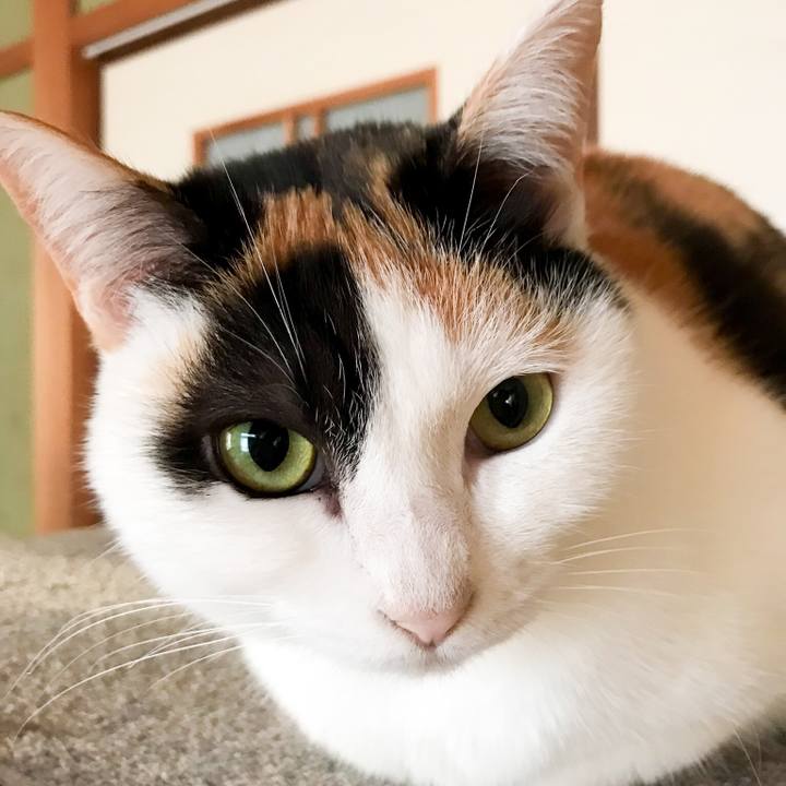 Cbdeadb0 0f27 474c 839c 4f0ab4d8b9f8 1517186433475