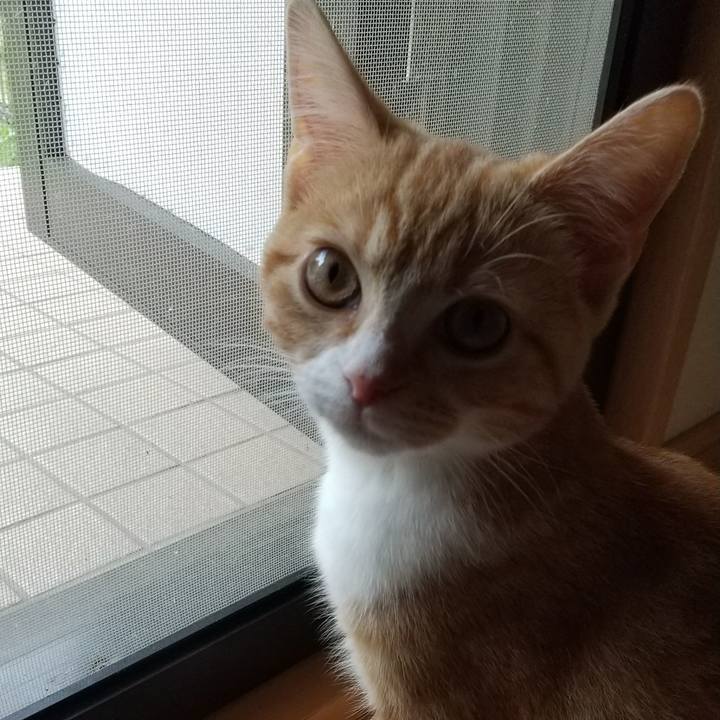 Cbded332 69fa 408c a779 3ec2dbb80b57 1624266972438