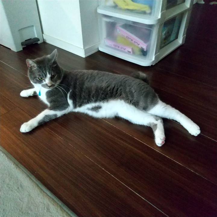 Cbded955 a14e 4f28 a6af dbedce30241c 1631324995156