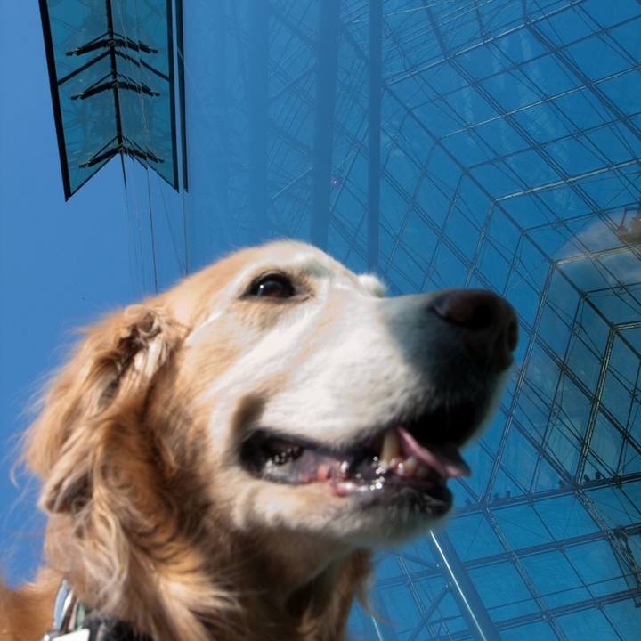 Cbdee402 00f0 4899 a86e 5bc3f5ede154 1523591287609