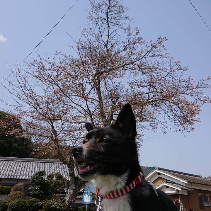 Cbdee7e3 75d2 4578 bbb6 c72cce0e1dbf 1522552607171