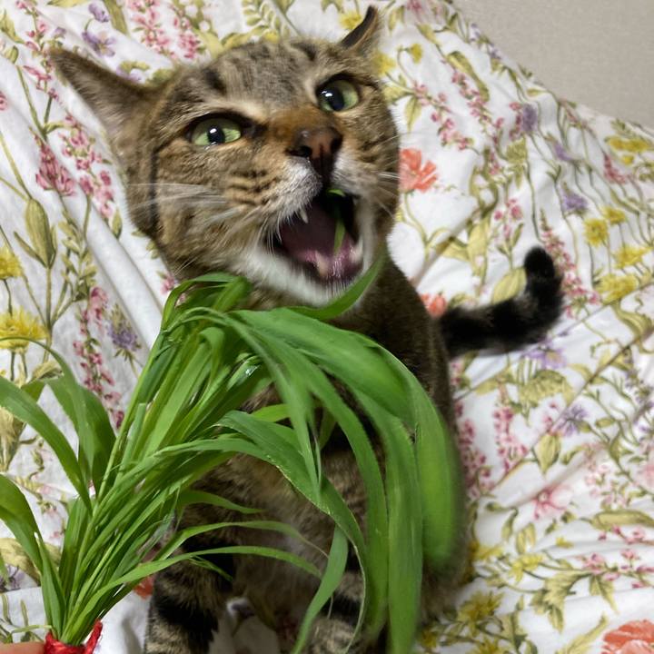 Cbdf3d57 516f 4df6 8c55 de68e8562204 1626431449844