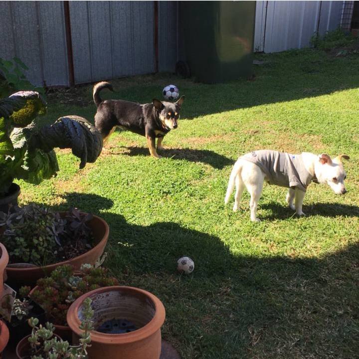 Cbdf3eb1 3014 41c1 8c9c 8db041a0642d 1758620818918