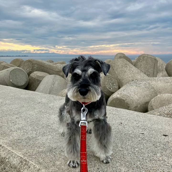 Cbdf5128 b1fb 4801 bc96 9e337443d645 1729304982008