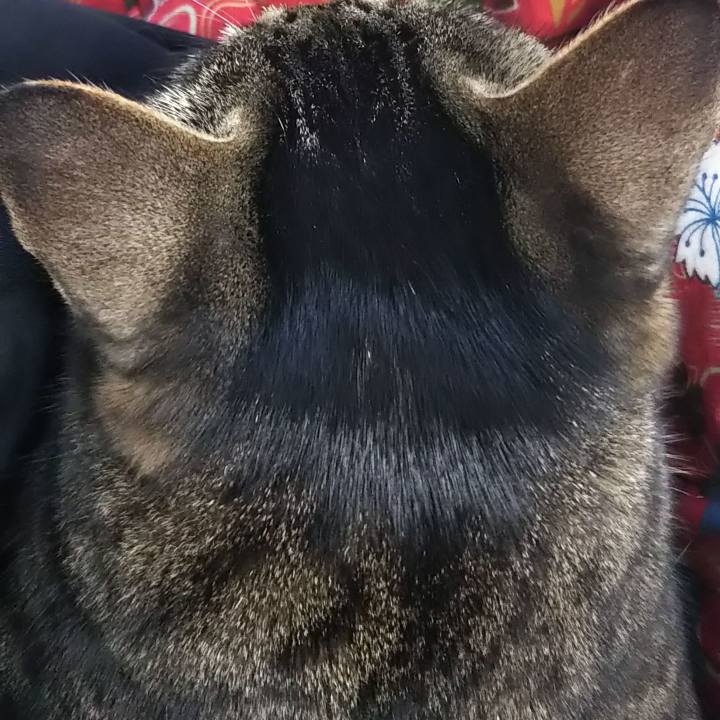 Cbdf688d 98e2 4a74 b85b 2d1e28636ddd 1614688271190