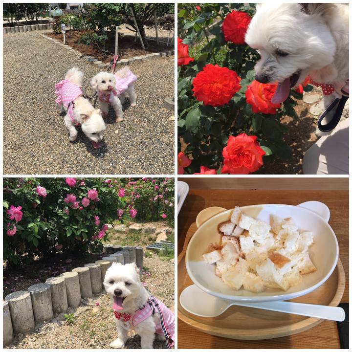 Cbdf73d1 69b5 4fe1 b2db 1c1209eeb147 1557647401209