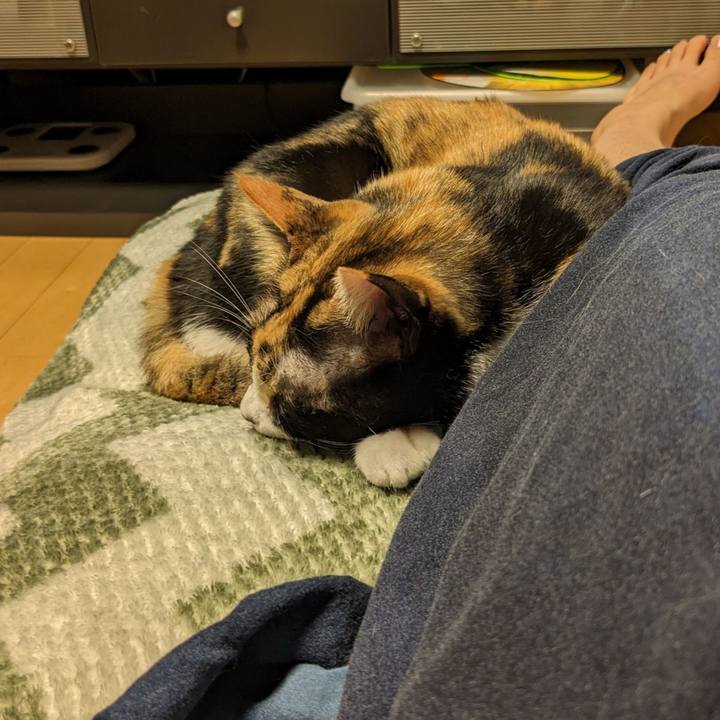 Cbdf9411 12b8 4a2b 88c4 a0b32a72aa40 1689578368463