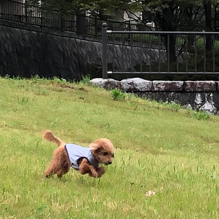 Cbdfb546 482d 4bfc 90a4 da94b372ea0c 1570258840238