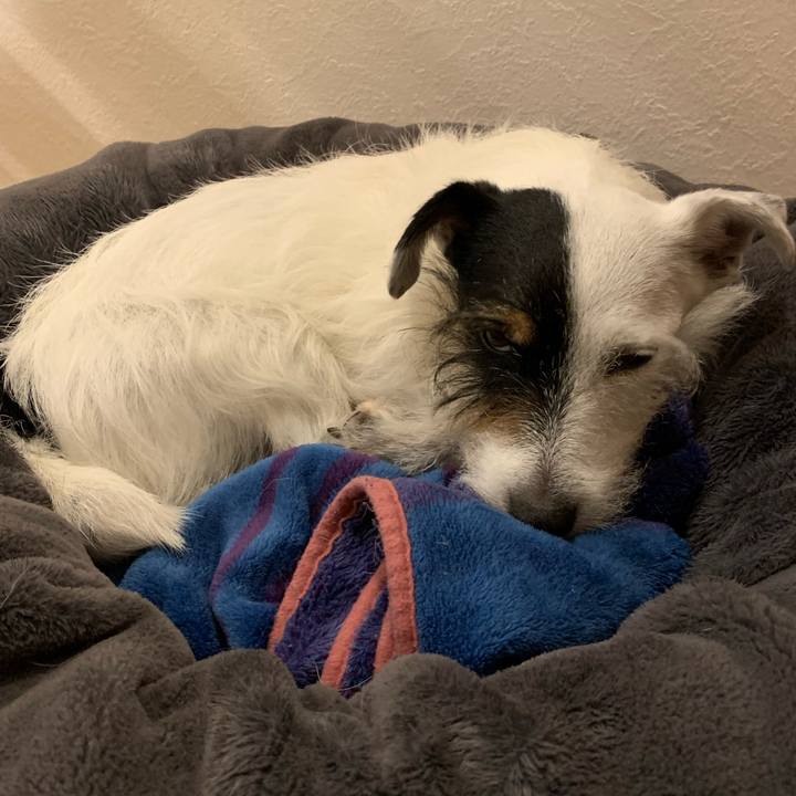 Cbdfc91d 9869 45ec 9431 757417b63eef 1654511884005