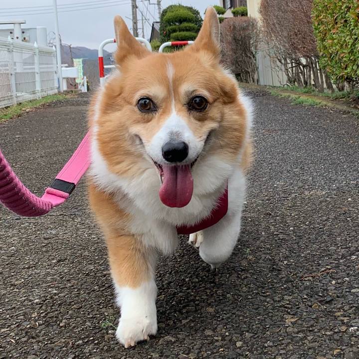 Cbdfd55c 6f5f 446e a923 2c0a52f1847e 1702350910563