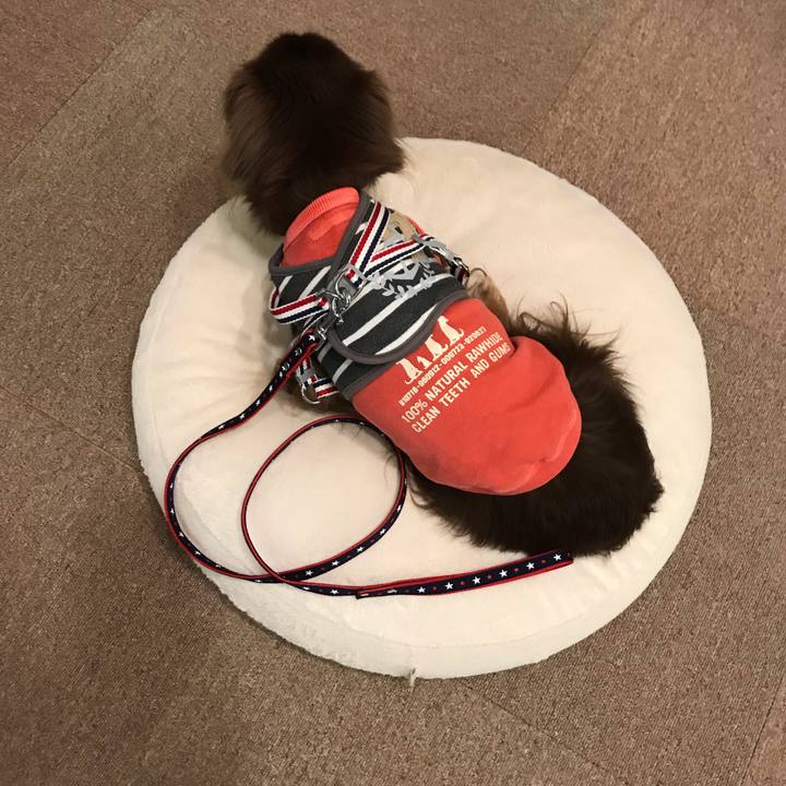 Cbdffde2 083e 4e8f b533 9d8c4249f8af 1554508225765