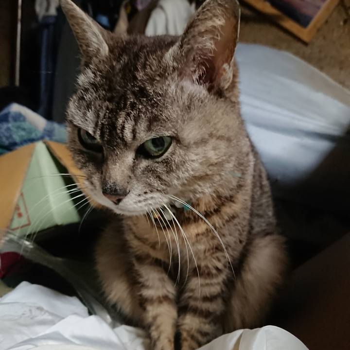 Cbe00e67 3a44 4263 ae2e fc59a52b3376 1560074868831