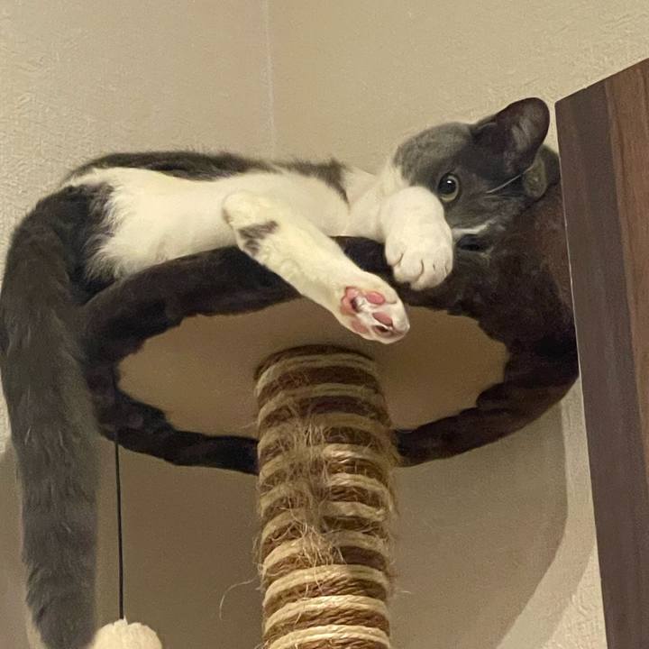 Cbe07b99 4f05 40d3 80f4 1029e4e57fba 1714322847680