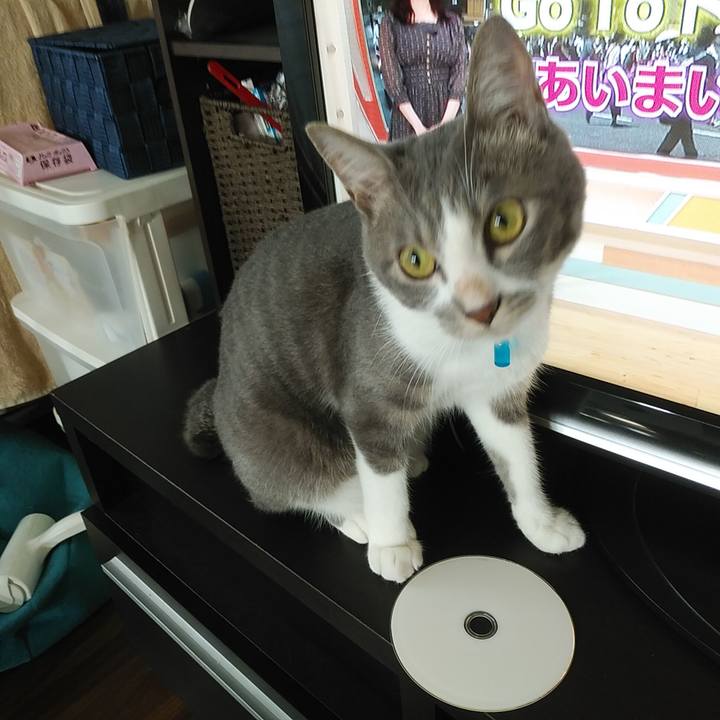 Cbe083ab 9279 484a a2cb 660f8ecfa610 1595197710691