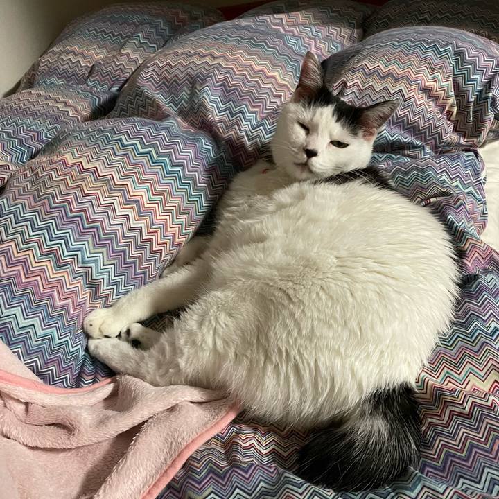 Cbe09de7 fa43 4c3f 8c80 3acc7b382e28 1636809869614