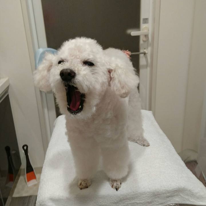 Cbe0c35a fb01 4ad8 9755 cc9a142564f9 1536929669841