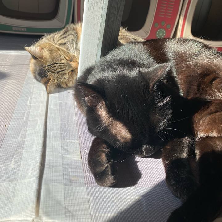 Cbe12fcd bc8e 4fb6 afb4 64f03125c000 1638235364672