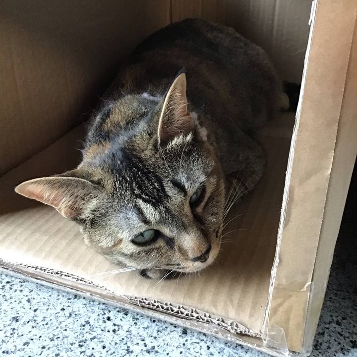 Cbe1339d c6b6 466c ad2e 65b9d9addbc2 1597880975775