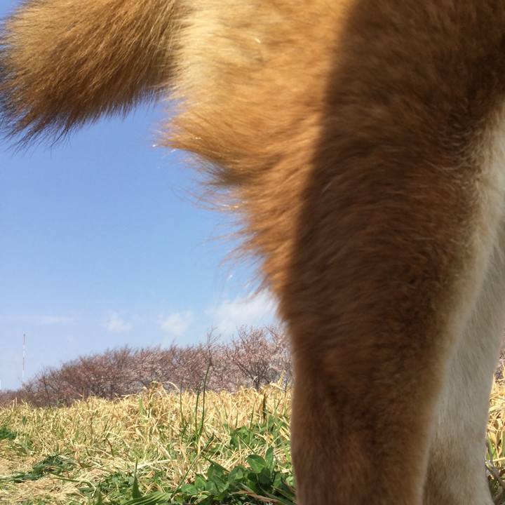 Cbe148fc 3ab8 4967 8a7a e08b0de249e8 1553748739423