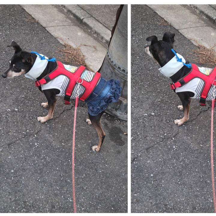 Cbe1c406 1997 4e8a 972b 3fc7790c3b24 1754685086076