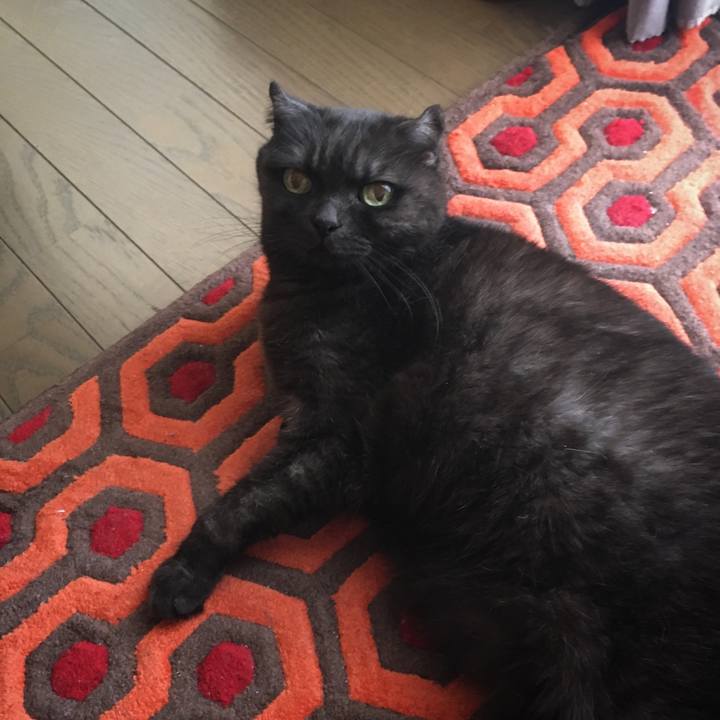 Cbe1d0a6 7c32 4be5 b2e2 1478b8fed18f 1585365440114