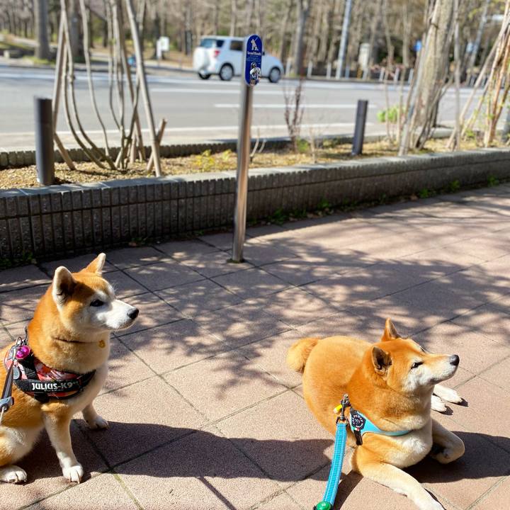 Cbe1dd38 513f 4b9a b451 1c974f892d5d 1619151348272