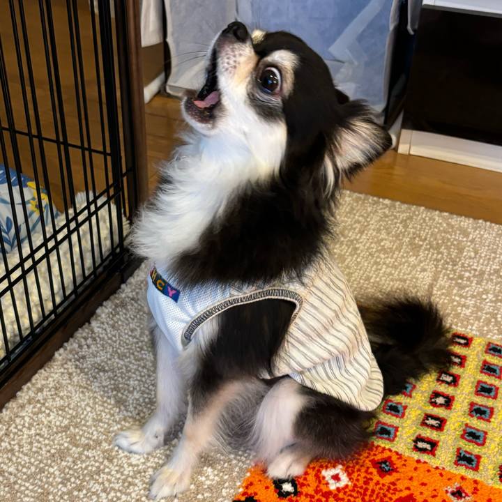 Cbe22b3d 994c 4607 bd4f 302c5f6f6785 1720975057564