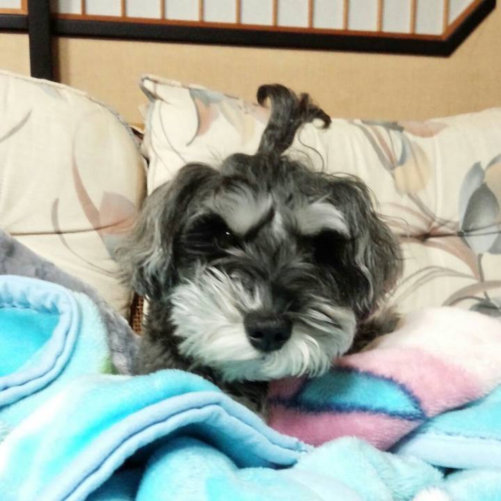 Cbe25149 d0da 4049 bb21 97a59dac491f 1510658174534