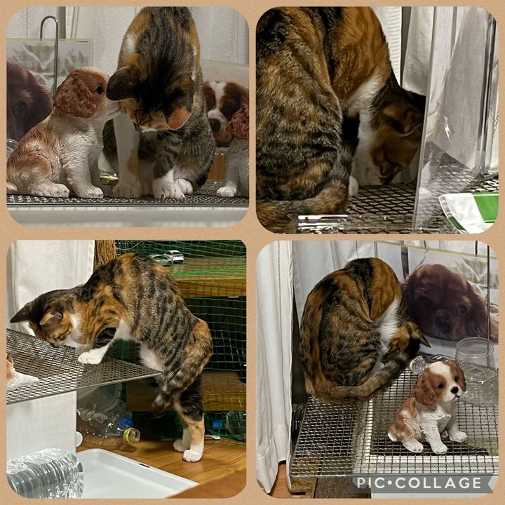 Cbe25d58 59da 4771 80b5 8a5135bd50ca 1659964721659