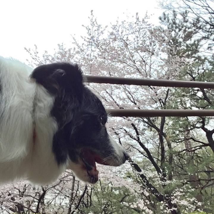 Cbe26aa2 4f90 4265 8df3 1b9c7e2e6232 1554801047658