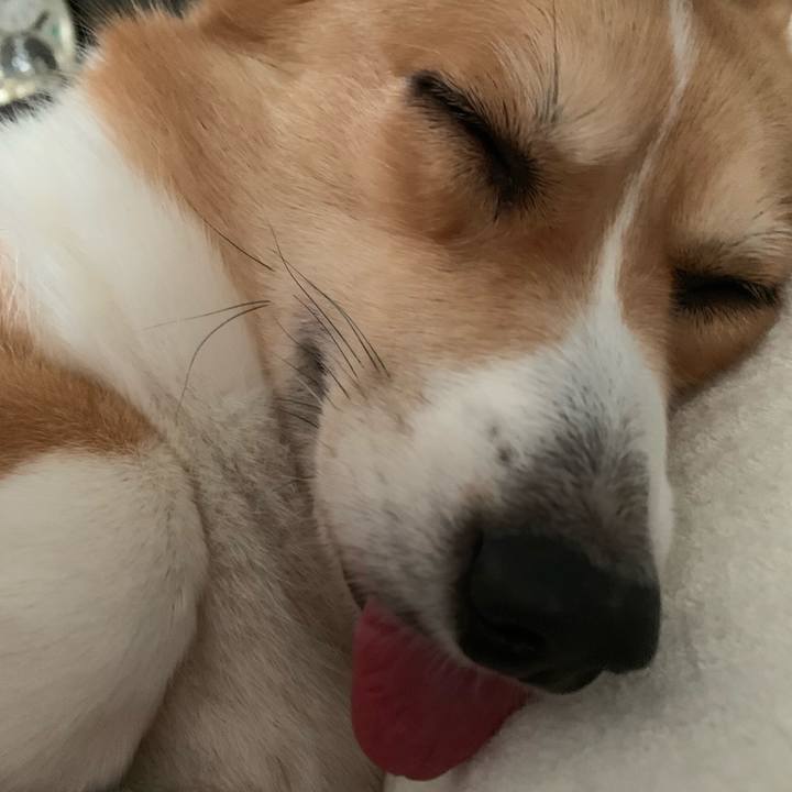 Cbe2758e 9fc9 489b b7d1 ee9a98128835 1569331001671