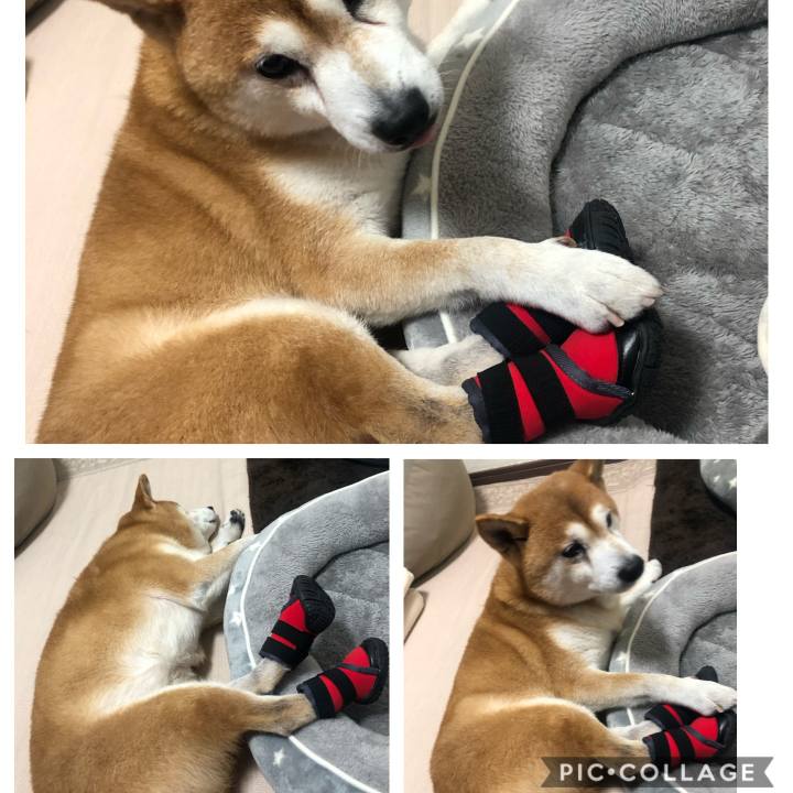 Cbe2a680 f6f5 41db 828d 6588555c89a1 1577681068897