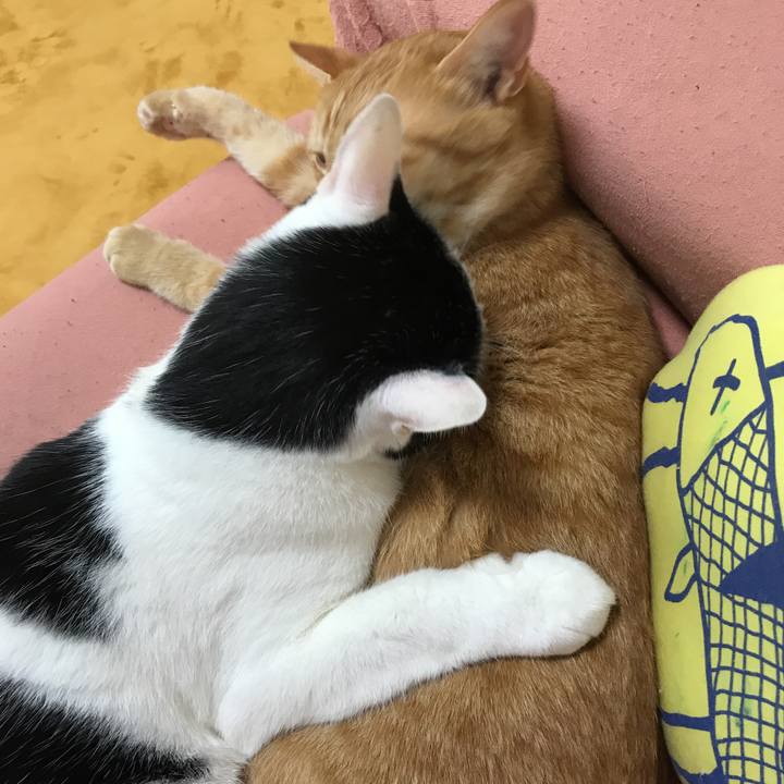 Cbe2d351 1ccf 47f1 8f86 468efb015ac0 1529560962112