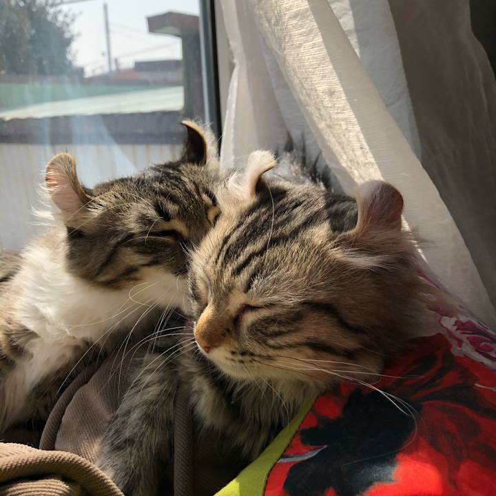 Cbe2fd2d 003e 4a05 8830 691252eeb64d 1522285931601